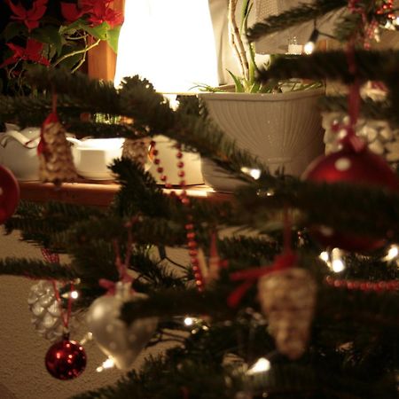 Gosciniec I Herbaciarnia Pod Zlota Lyzwa Białka Tatrzańska Kültér fotó